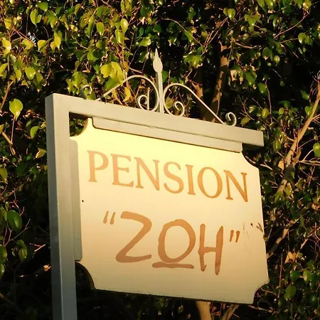 πανσιόν ζωή Ερμιόνη